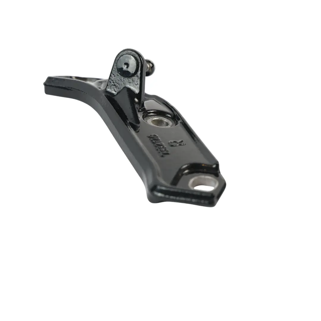 Coperchio Bagagliaio Destro Ammortizzatore Nero per BMW F36 con numero di parte 7332126 BMW F36 Coperchio Bagagliaio Destro Ammortizzatore Nero - SKU 7332126-SCH - Numero di parte 7332126