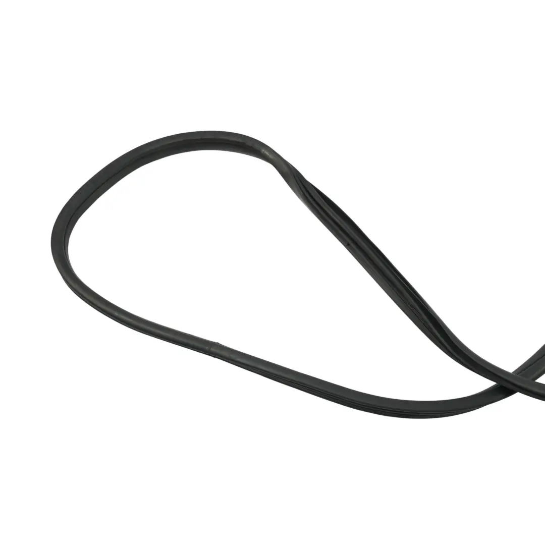 BMW X5 E70 Edge Protection Seal Gasket Door Front Left Right N/O/S - SKU 7333607 - Part number 7333607