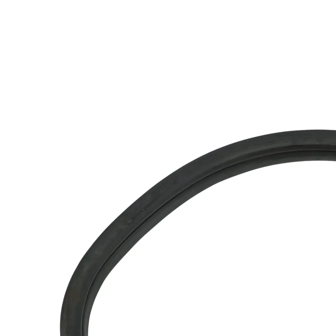 BMW X5 E70 Edge Protection Seal Gasket Door Front Left Right N/O/S - SKU 7333607 - Part number 7333607