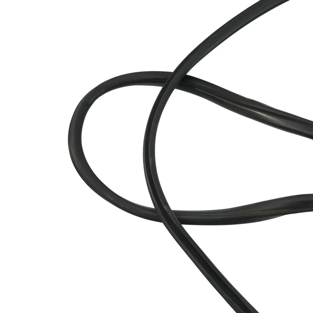 Protection Seal Gasket Door Front Left Right N/O/S to BMW X5 E70 Edge with Part number 7333607 BMW X5 E70 Edge Protection Seal Gasket Door Front Left Right N/O/S - SKU 7333607 - Part number 7333607