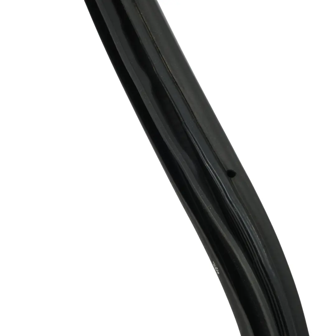 BMW X5 E70 Junta Protección Puerta Trasera Izquierda Derecha - SKU 7333608 - Número de pieza 7333608