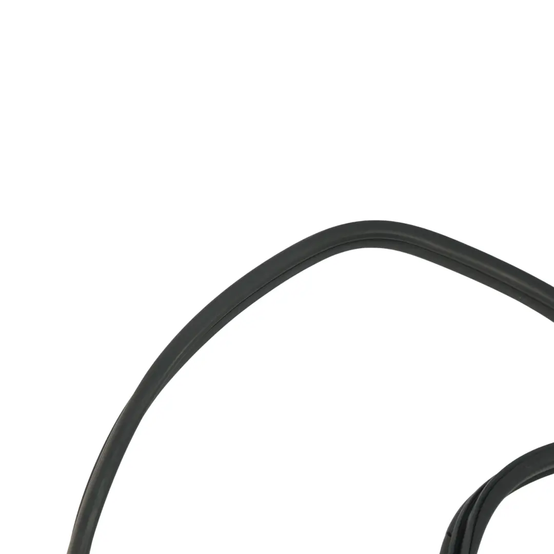 BMW X5 E70 Edge Protection Seal Gasket Door Rear Left Right N/O/S - SKU 7333608 - Part number 7333608