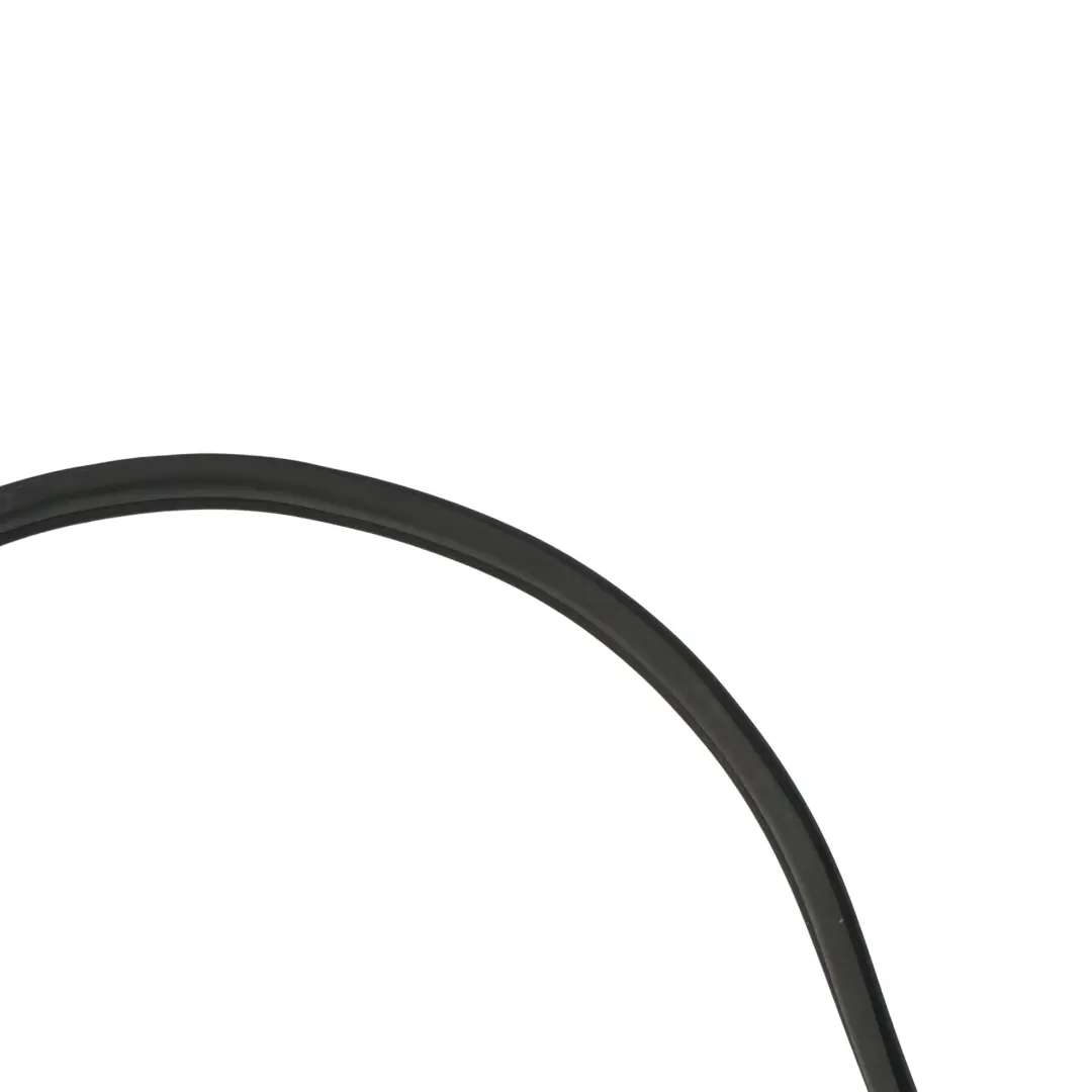 Protection Seal Gasket Door Rear Left Right N/O/S to BMW X5 E70 Edge with Part number 7333608 BMW X5 E70 Edge Protection Seal Gasket Door Rear Left Right N/O/S - SKU 7333608 - Part number 7333608