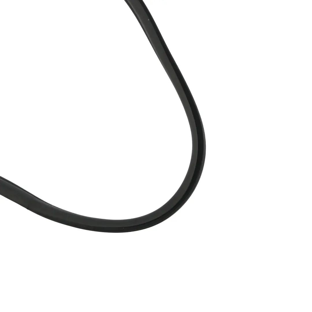 Protection Seal Gasket Door Rear Left Right N/O/S to BMW X5 E70 Edge with Part number 7333608 BMW X5 E70 Edge Protection Seal Gasket Door Rear Left Right N/O/S - SKU 7333608 - Part number 7333608