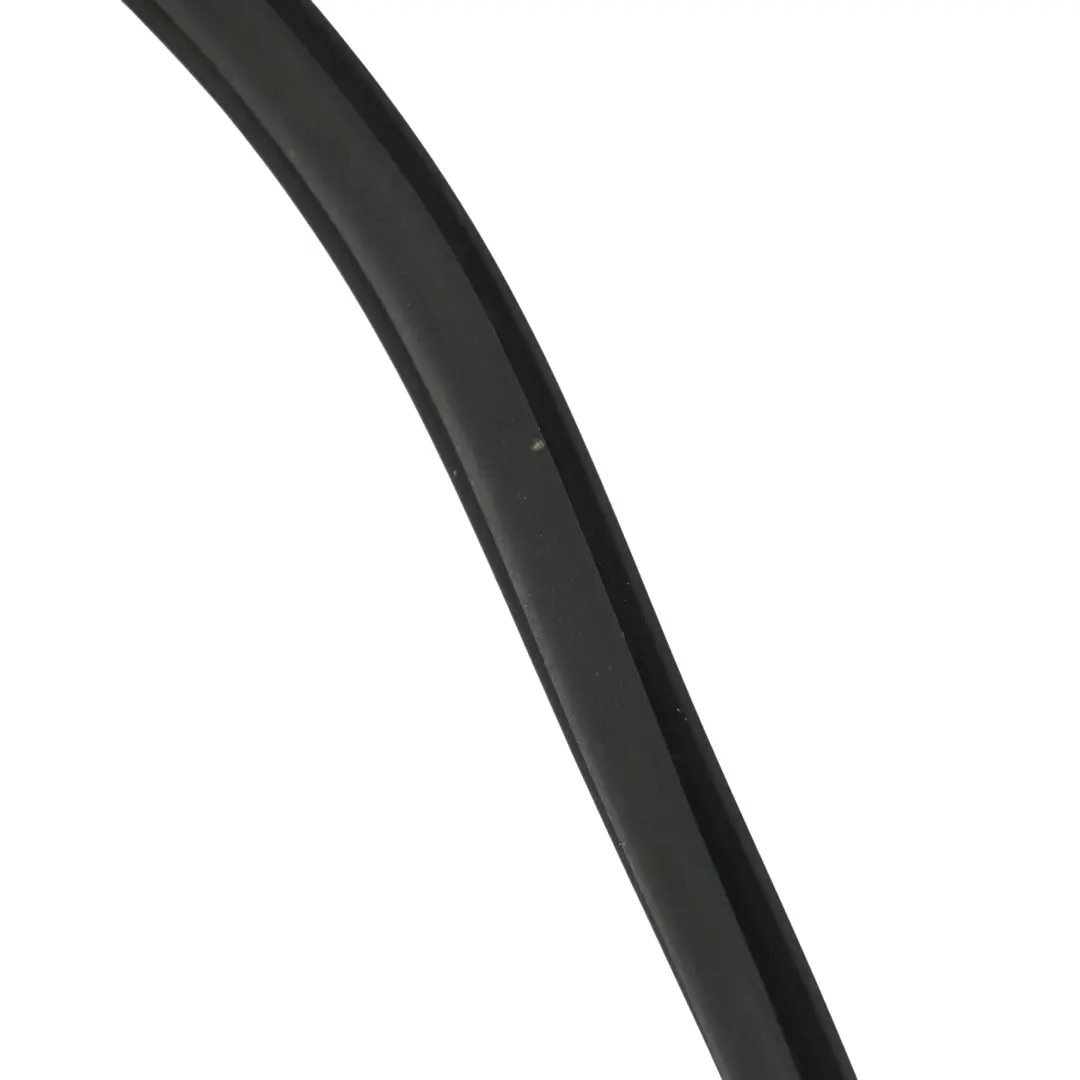 BMW X5 E70 Guarnizione Protezione Bordo Porta Posteriore Sinistra Destra - SKU 7333608 - Numero di parte 7333608