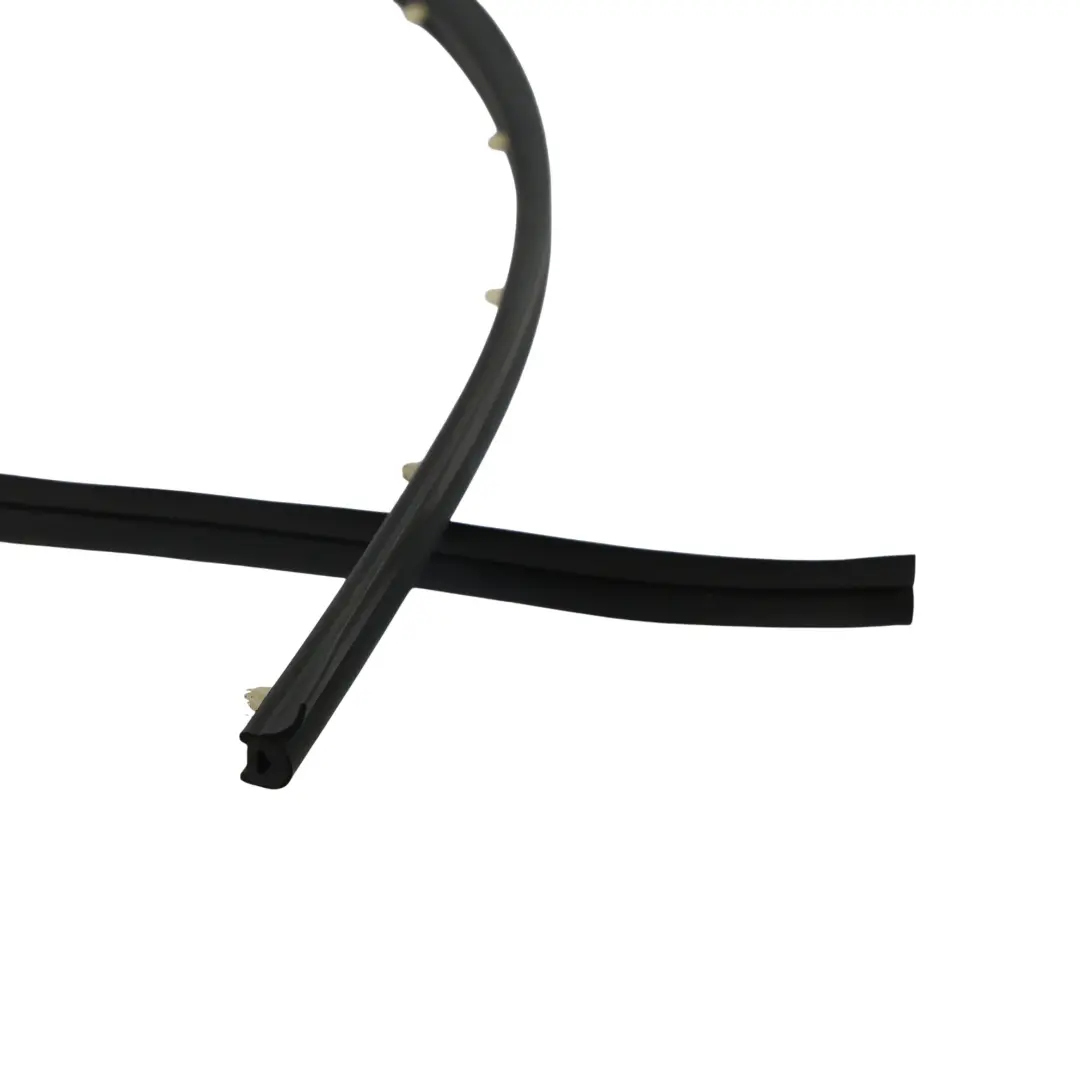 Türdichtung Untere Abdeckung Hinten Links für BMW G30 G31 F90 mit Teilenummer 7341647 BMW G30 G31 F90 Türdichtung Untere Abdeckung Hinten Links - SKU 7341647 - Teilenummer 7341647