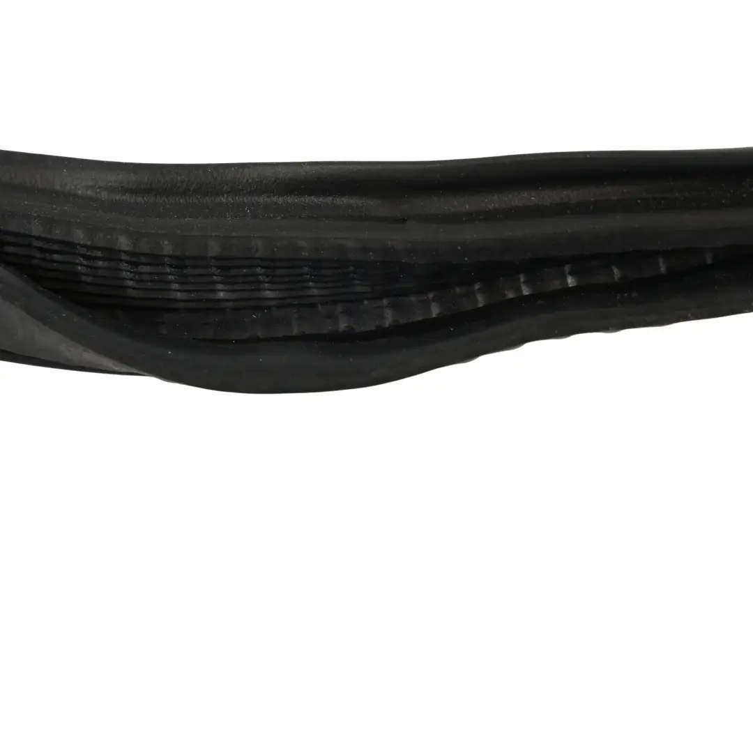 Junta Goma Protección Borde Puerta Trasera Izquierda Derecha para BMW G31 con número de pieza 7468733 BMW G31 Junta Goma Protección Borde Puerta Trasera Izquierda Derecha - SKU 7468733 - Número de pieza 7468733