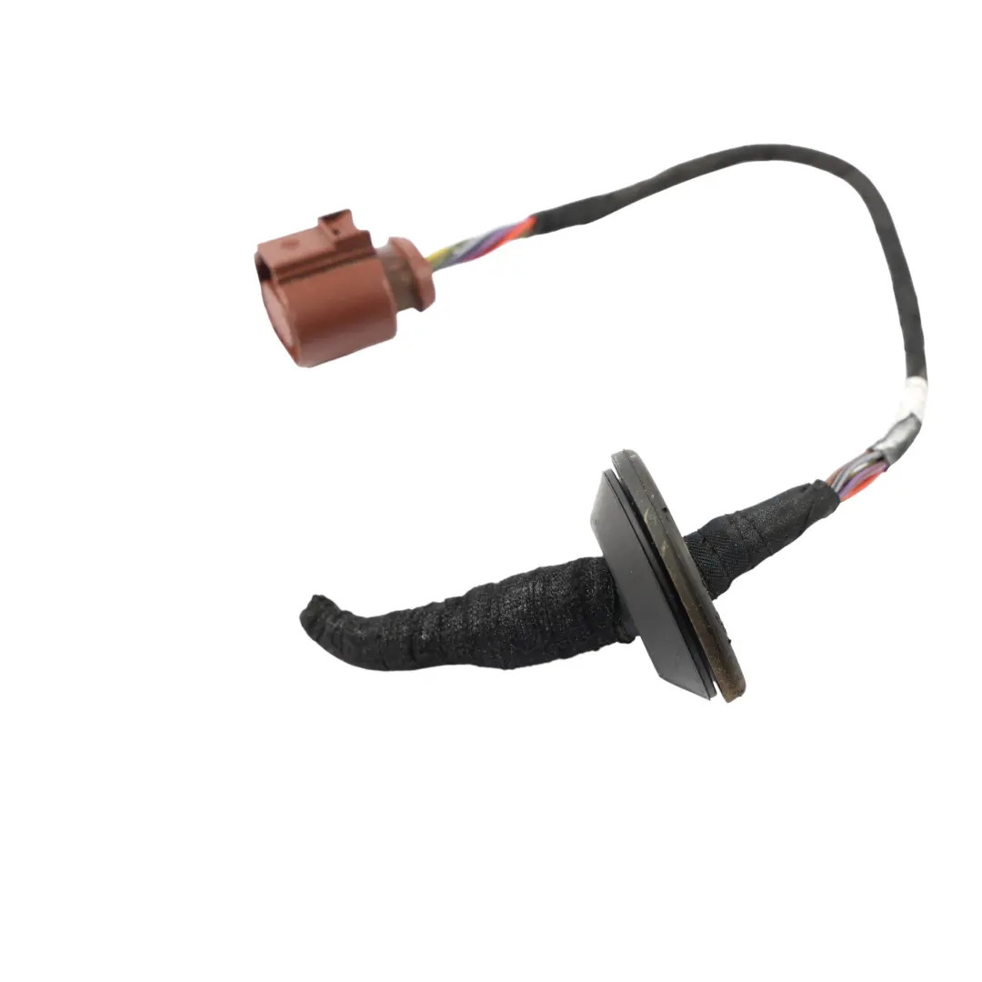 Feu Arrière Prise Connecteur Arrière Droit pour Audi Q2 GA à propos du numéro de pièce 81A945070C Audi Q2 GA Feu Arrière Prise Connecteur Arrière Droit - SKU 81A945070C-1 - Numéro de pièce 81A945070C