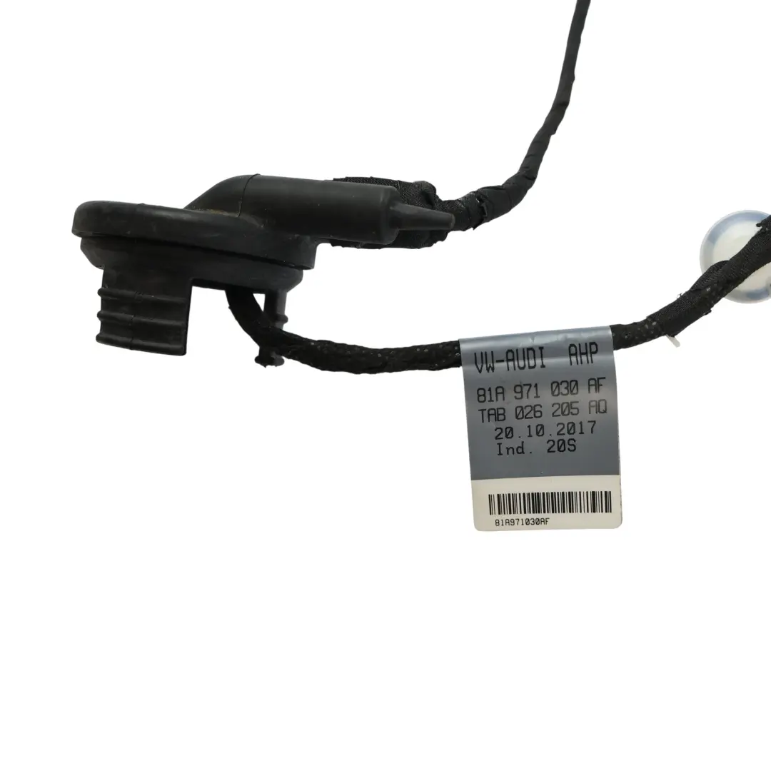 Audi Q2 GA Cablaggio Porta Anteriore Lato Passeggero - SKU 81A971030AF - Numero di parte 81A971030AF