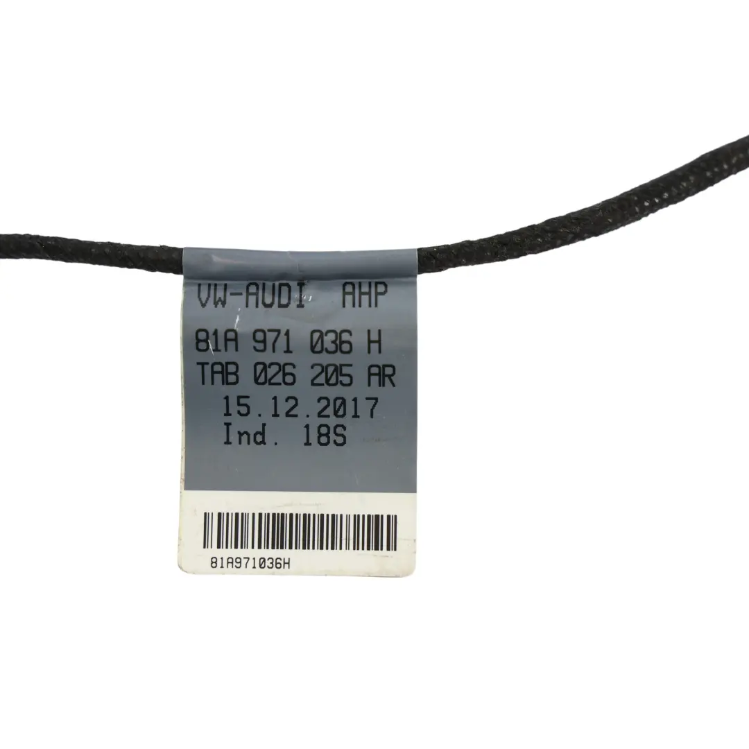 Kabelbaum Tür Vorne Beifahrerseite für Audi Q2 GA mit Teilenummer 81A971036H Audi Q2 GA Kabelbaum Tür Vorne Beifahrerseite - SKU 81A971036H - Teilenummer 81A971036H