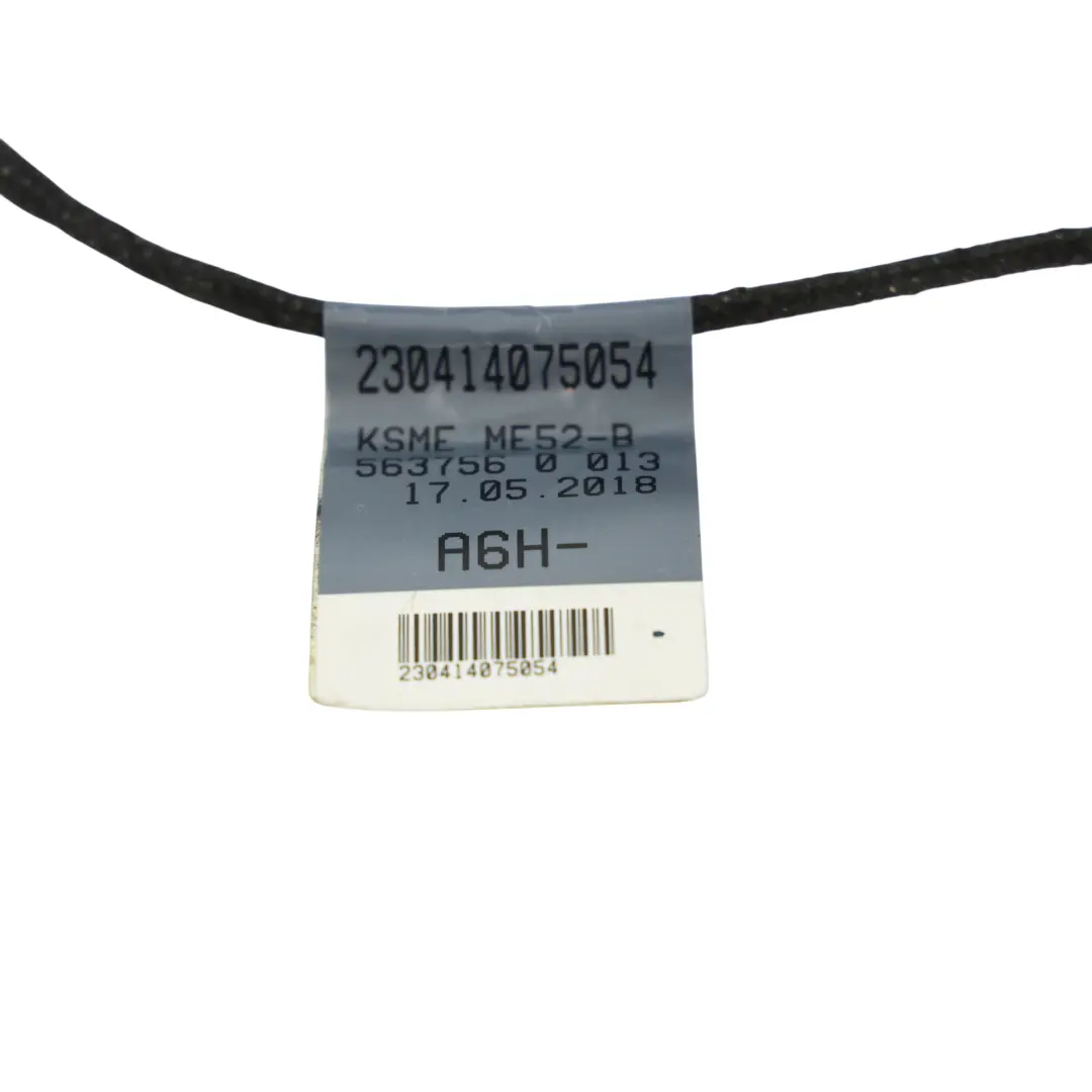 Audi Q2 GA Cablaggio Porta Anteriore Lato Passeggero - SKU 81A971036H - Numero di parte 81A971036H