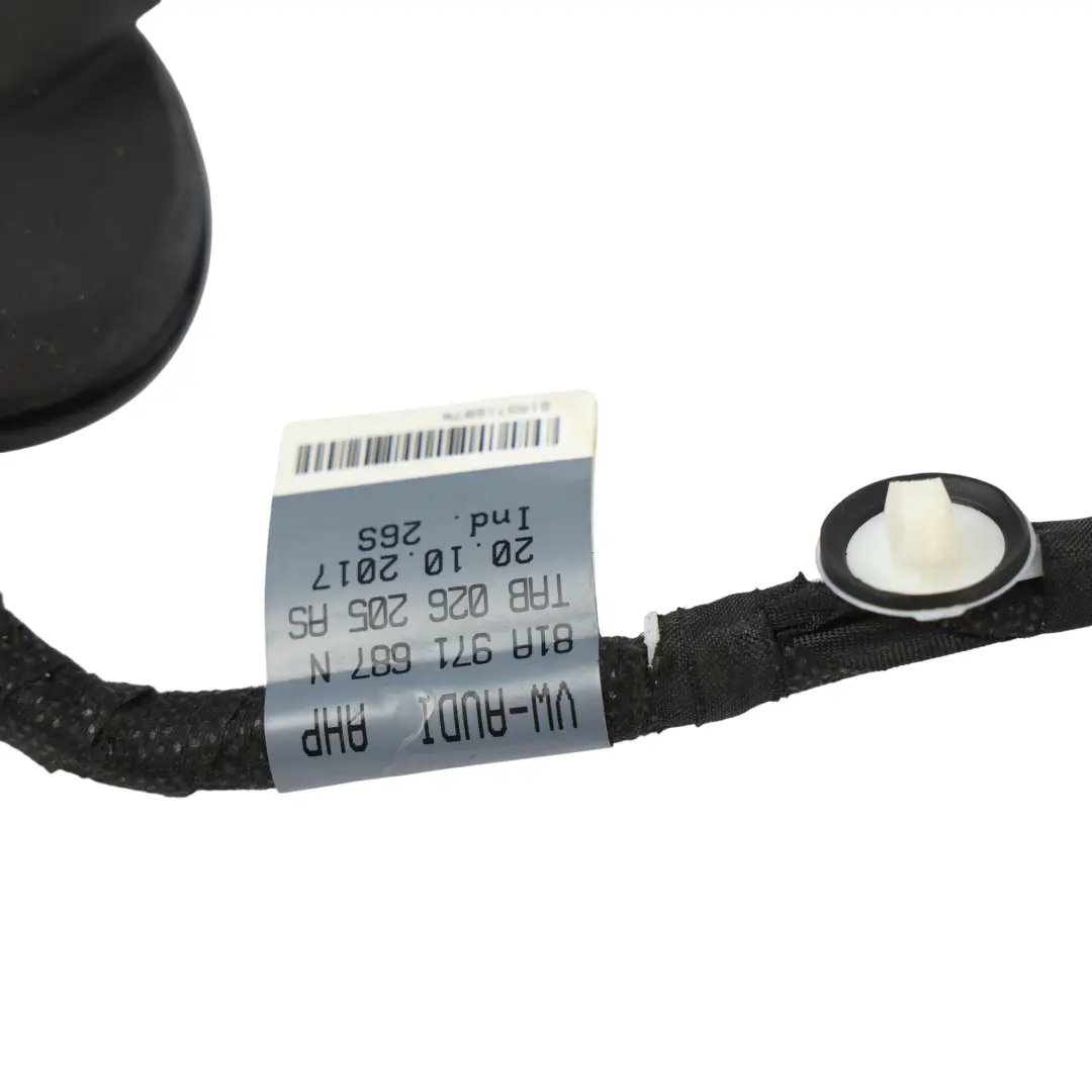 Audi Q2 GA Wiązka Elektryczna Drzwi Tył Prawa Lewa - SKU 81A971687N - Numer Części 81A971687N