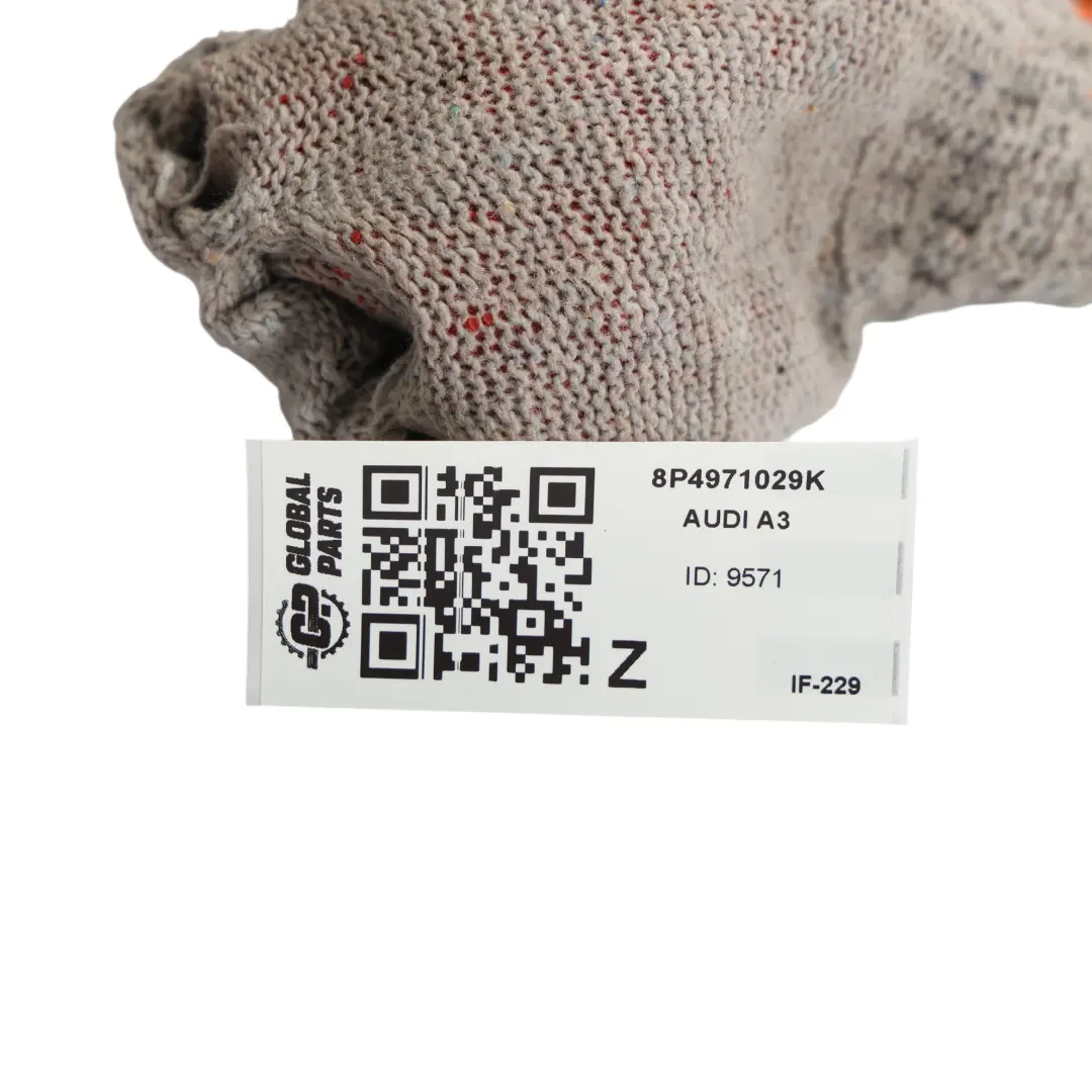 Audi A3 8P Cablaggio Porta Anteriore Lato Guida - SKU 8P4971029K - Numero di parte 8P4971029K