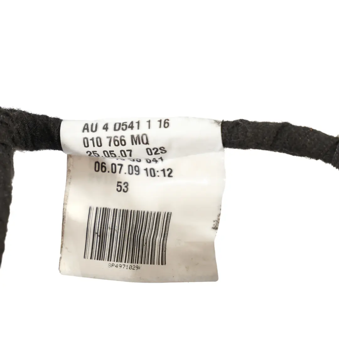 Audi A3 8P Front Door Wiring Loom Harness Cable Driver Side - SKU 8P4971029K - Part number 8P4971029K