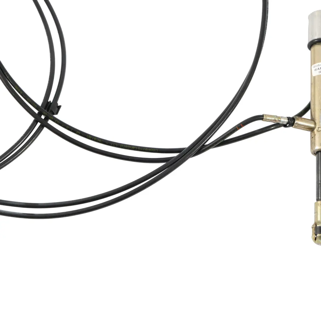 Ammortizzatore Idraulico Tetto Destro per BMW E46 M3 Convertible con numero di parte 8236956 BMW E46 M3 Convertible Ammortizzatore Idraulico Tetto Destro - SKU 8236956 - Numero di parte 8236956