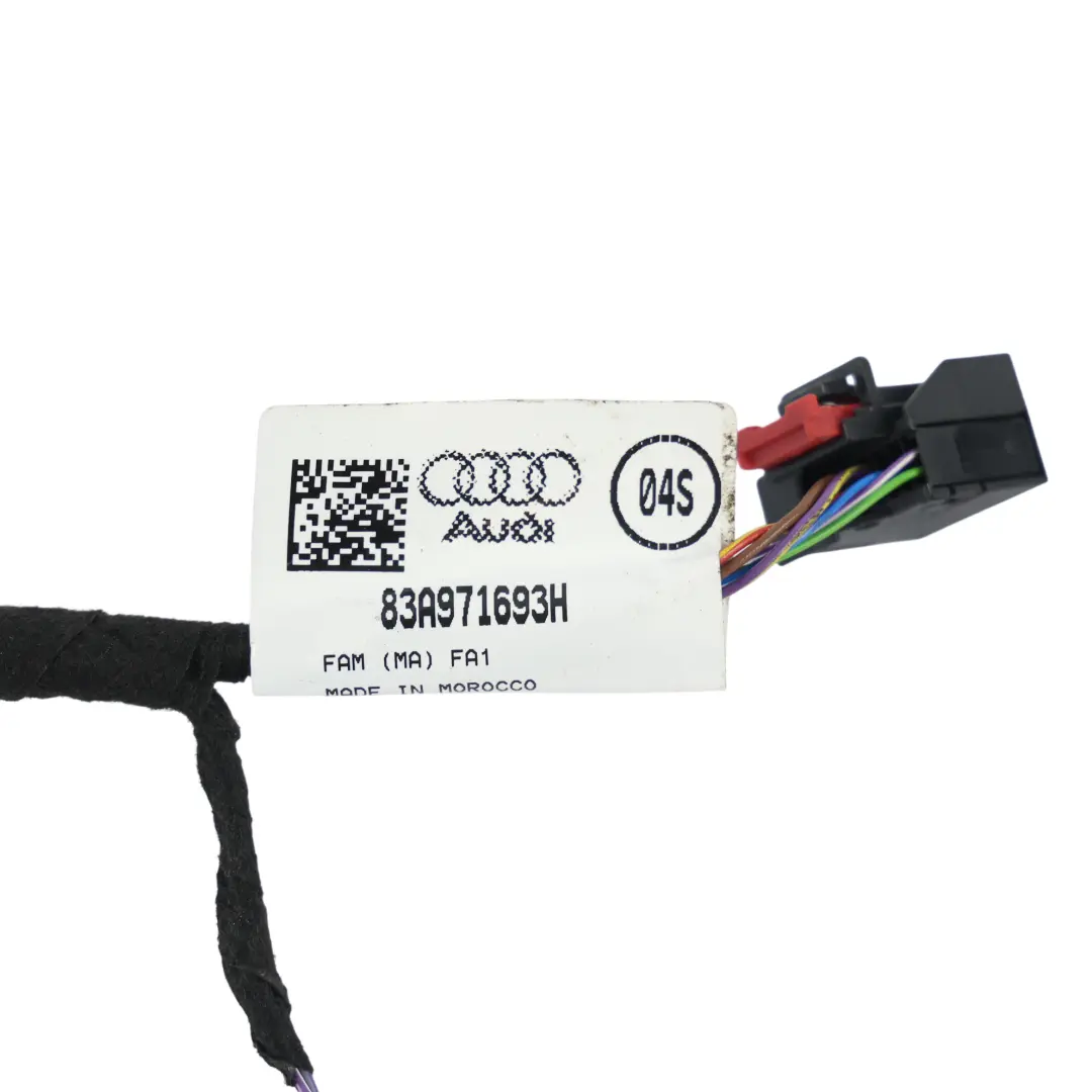 Audi Q3 RSQ3 F3 Faisceau Câblage Porte Arrière Gauche Droite - SKU 83A971693H - Numéro de pièce 83A971693H