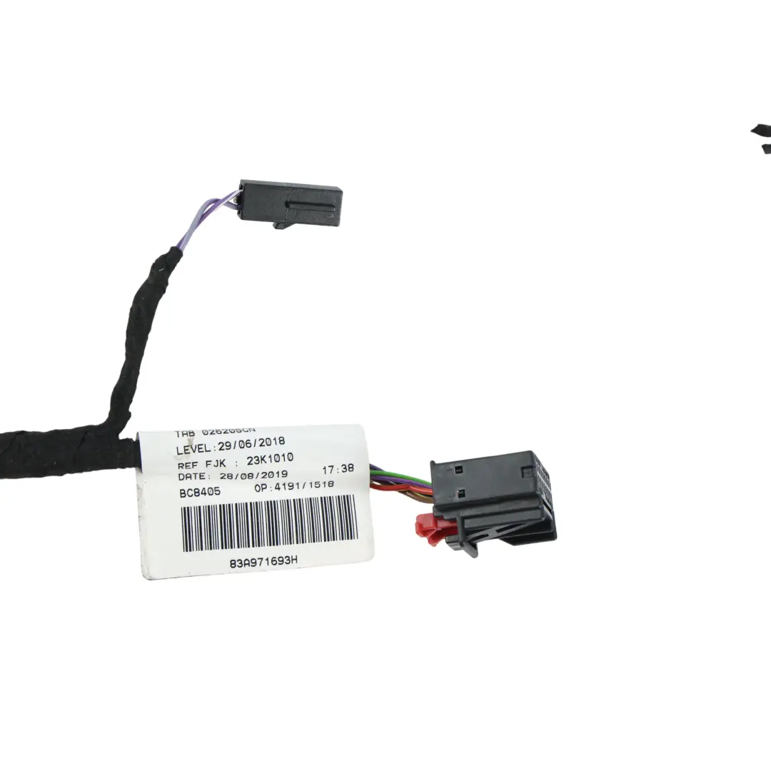 Audi Q3 RSQ3 F3 Türkabelbaum Hinten Links Rechts - SKU 83A971693H - Teilenummer 83A971693H