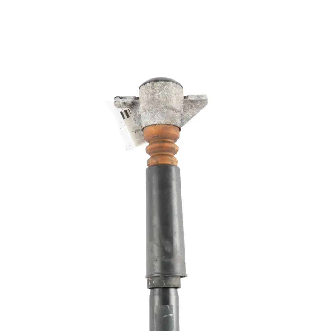 Audi A5 8F Convertible Ammortizzatore Asse Posteriore Sinistro Destro - SKU 8F0513035K - Numero di parte 8F0513035K