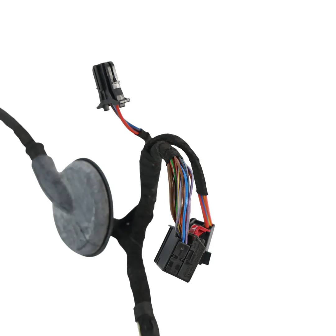 8F Arnés Cableado Puerta Delantera Lado Conductor para Audi A5 con número de pieza 8F0971029BD Audi A5 8F Arnés Cableado Puerta Delantera Lado Conductor - SKU 8F0971029BD - Número de pieza 8F0971029BD