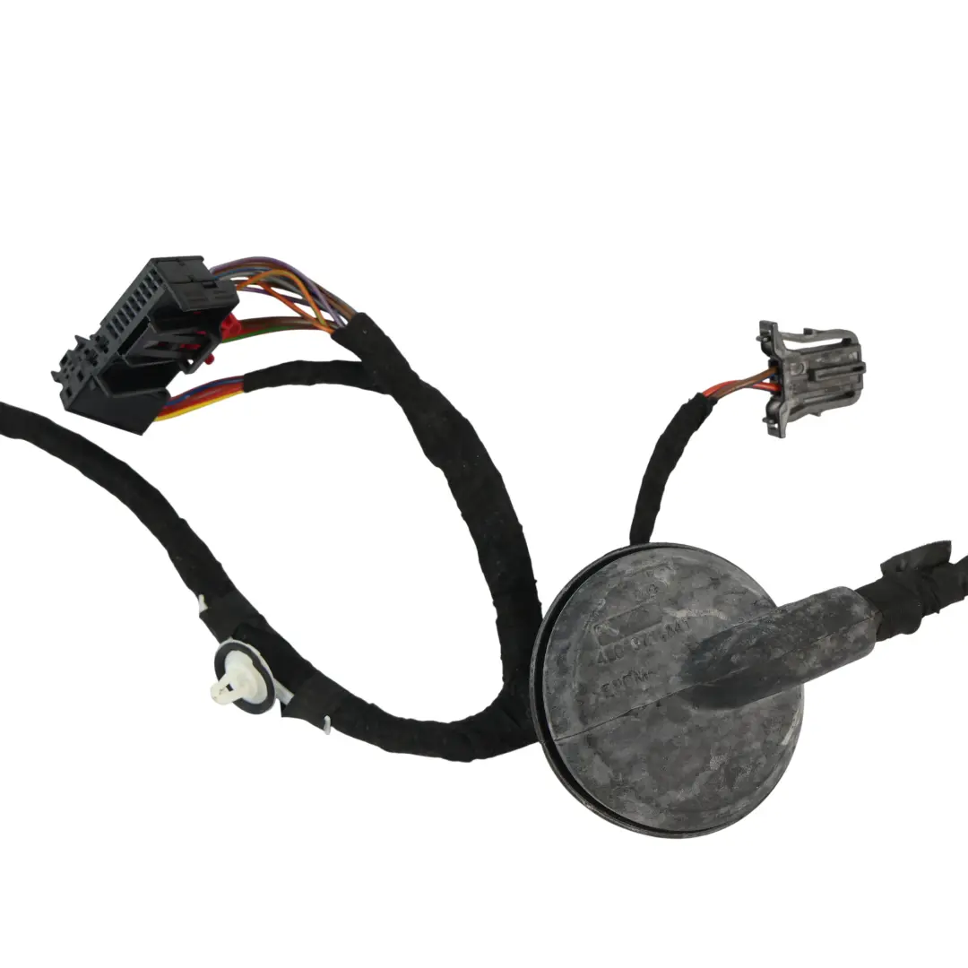 Audi A5 8F Cablaggio Elettrico Porta Anteriore Lato Passeggero - SKU 8F0971030BD - Numero di parte 8F0971030BD
