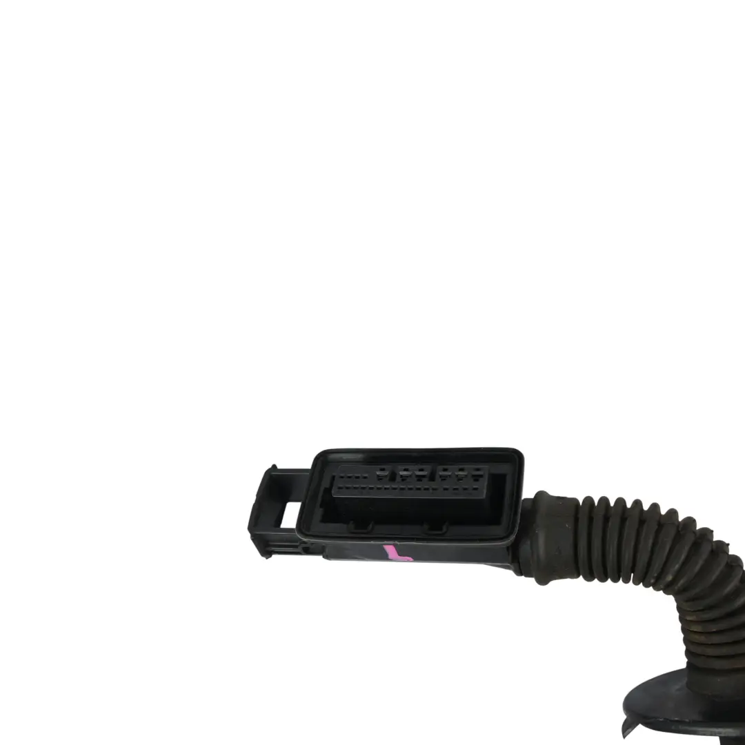 8F Front Door Electric Wiring Loom Harness Passenger's Side to Audi A5 with Part number 8F0971030BD Audi A5 8F Front Door Electric Wiring Loom Harness Passenger's Side - SKU 8F0971030BD - Part number 8F0971030BD