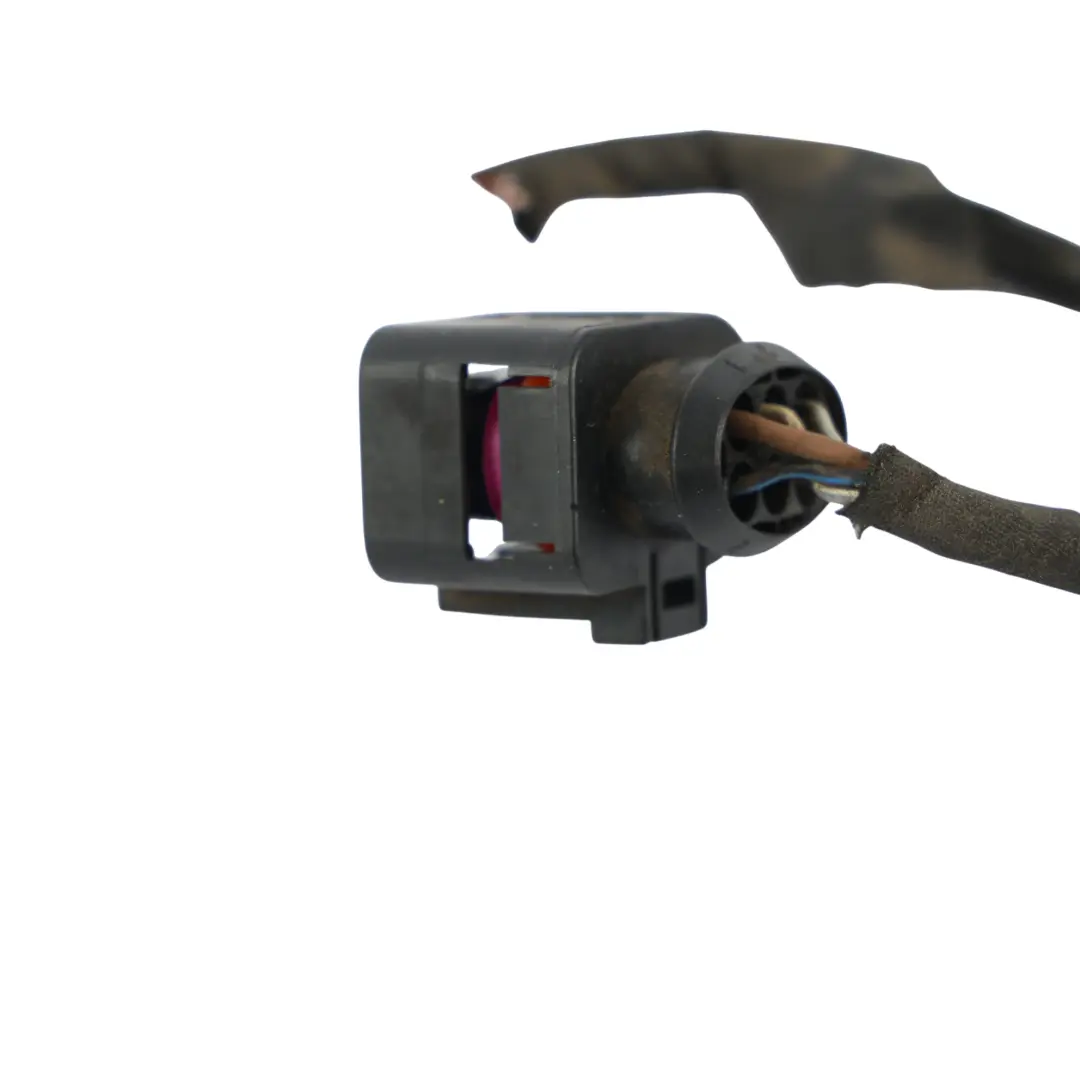 Audi TT 8J Cableado Luz Trasera Izquierda - SKU 8J0945095C-1 - Número de pieza 8J0945095C