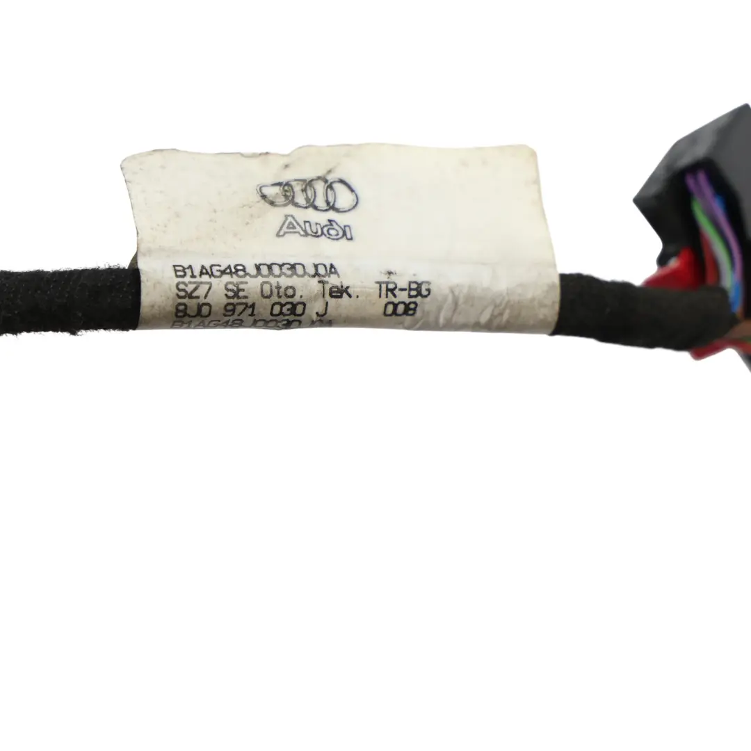 Audi TT 8J Arnés Cableado Puerta Lado Pasajero - SKU 8J0971030J - Número de pieza 8J0971030J