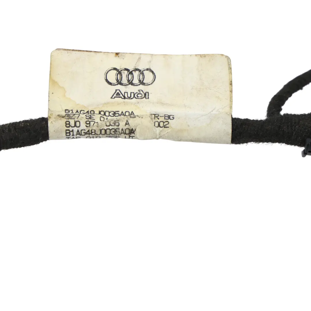 Audi TT 8J Wiązka Przewodów Instalacja Drzwi Strona Kierowcy - SKU 8J0971035A - Numer Części 8J0971035A