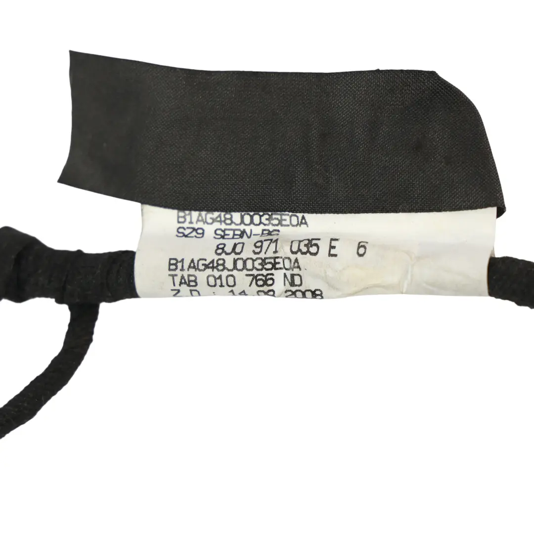 Audi TT 8J Arnés Cableado Puerta Lado Conductor Cable Eléctrico - SKU 8J0971035E - Número de pieza 8J0971035E