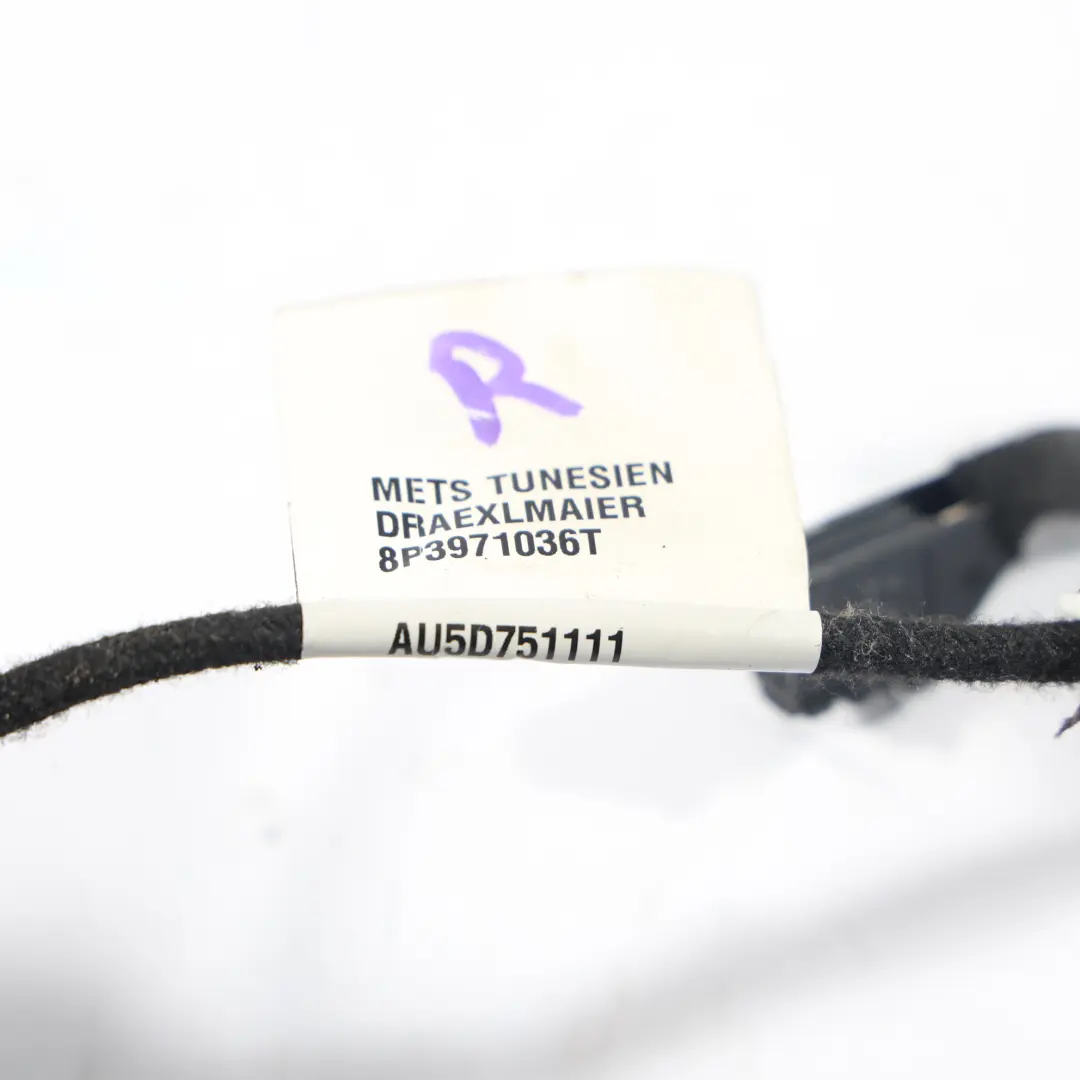 Audi A3 8P 2D Door Wiring Loom Harness Front Driver's Side - SKU RHD-8P3971036T - Part number 8P3971036T