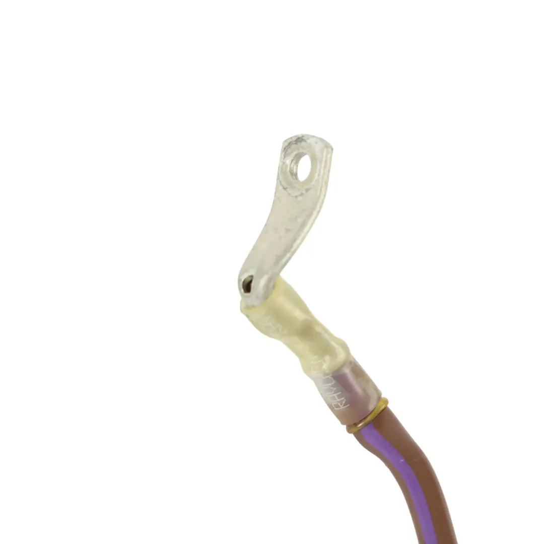 Earth Line Voltage Converter Starter Alternator Harness to Audi S5 F5 with Part number 8W0971534 Audi S5 F5 Earth Line Voltage Converter Starter Alternator Harness - SKU 8W0971534 - Part number 8W0971534