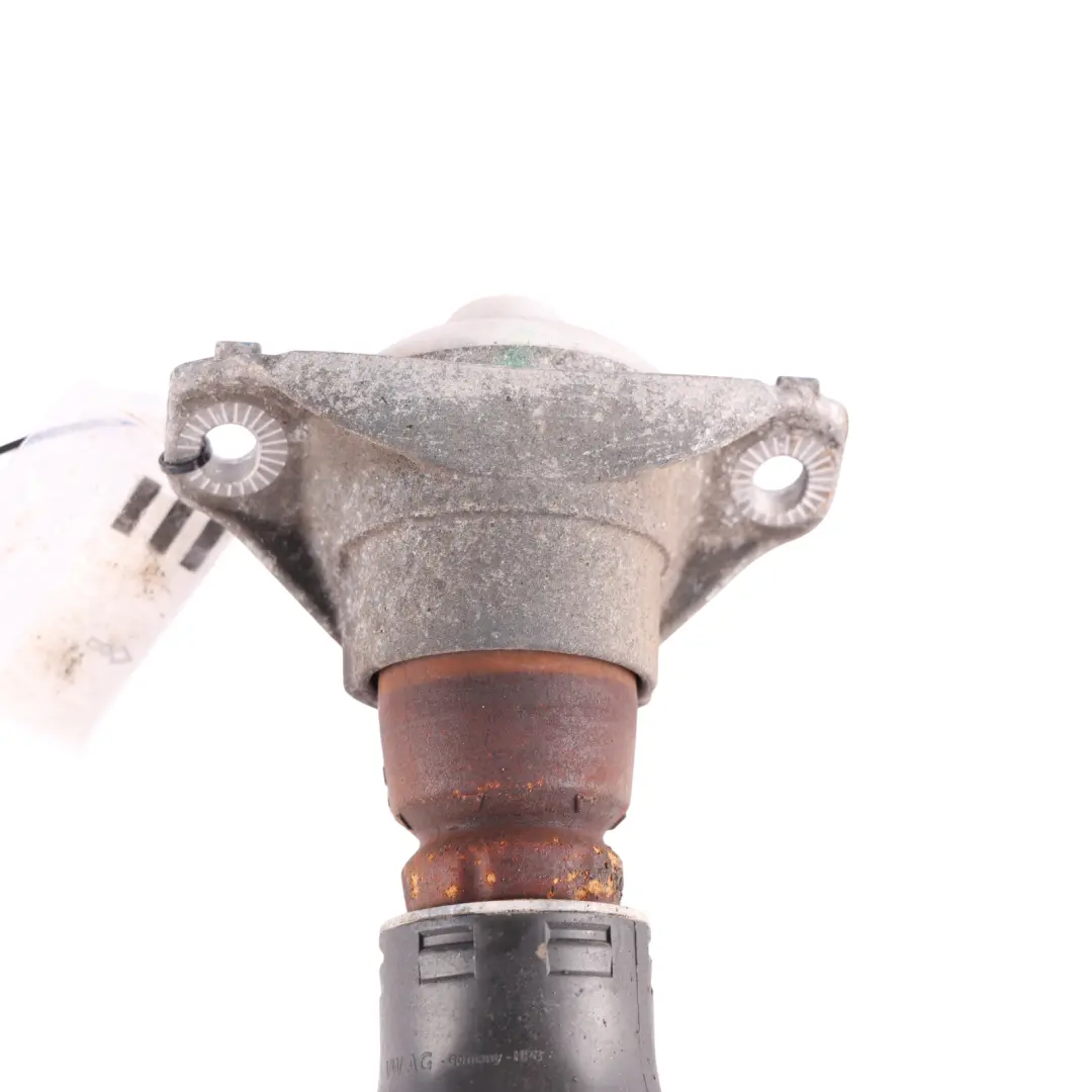 Audi A5 S5 Rear Suspension Shock Absorber Strut Left Right N/O/S - SKU 8W6513028 - Part number 8W6513028