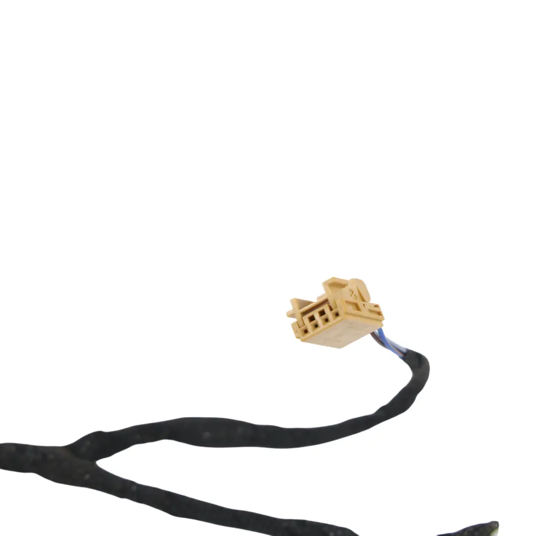 Audi A5 S5 RS5 F5 Cablaggio Porta Anteriore Destro 8W8971036G - SKU 8W8971036E - Numero di parte 8W8971036E