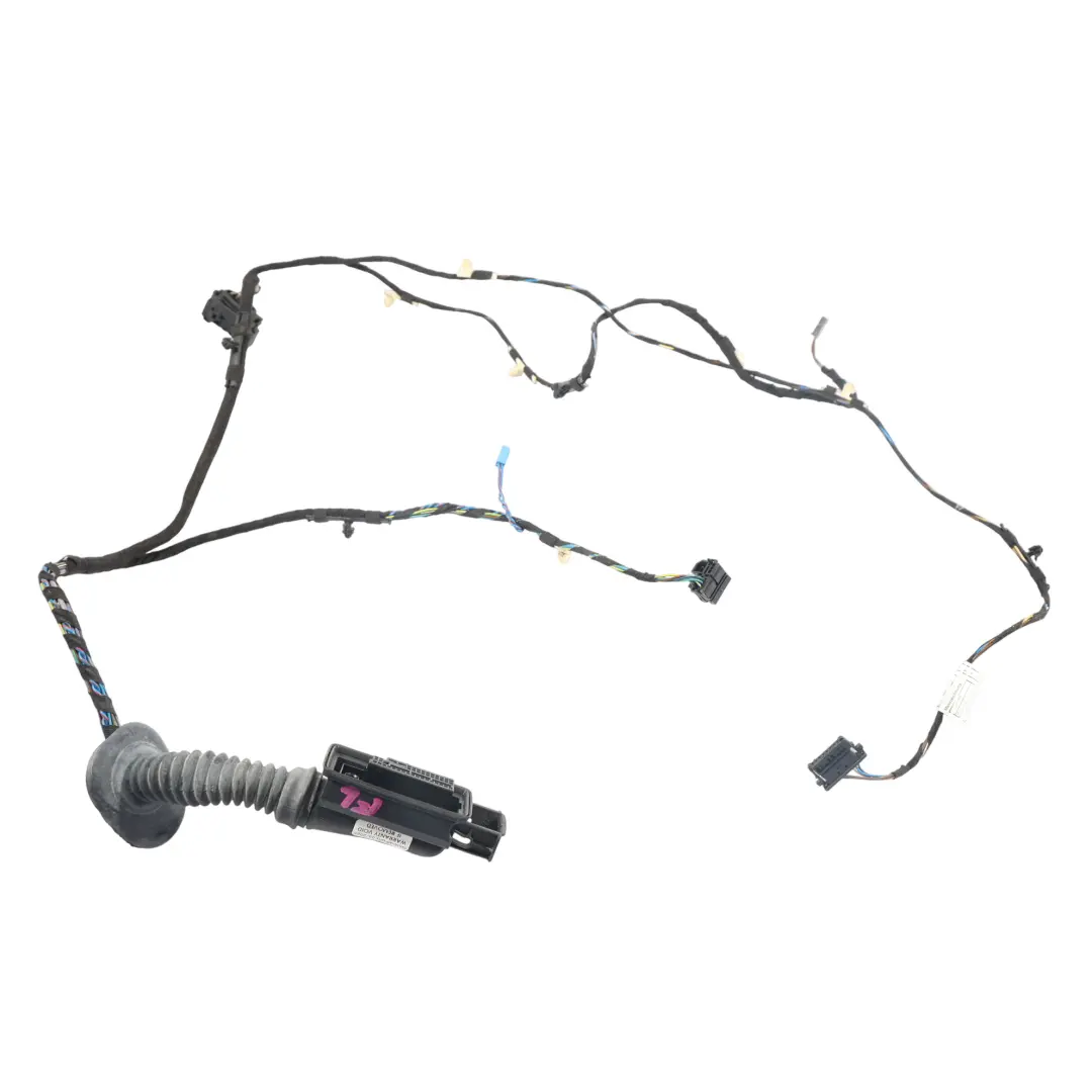 BMW F30 Türkabelbaum Kabelstrang Vorne Beifahrerseite - SKU 9259999 - Teilenummer 9259761