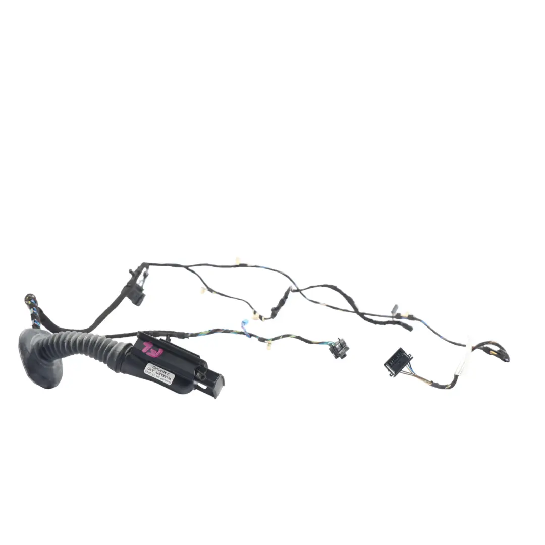 BMW F30 Türkabelbaum Kabelstrang Vorne Beifahrerseite - SKU 9259999 - Teilenummer 9259761