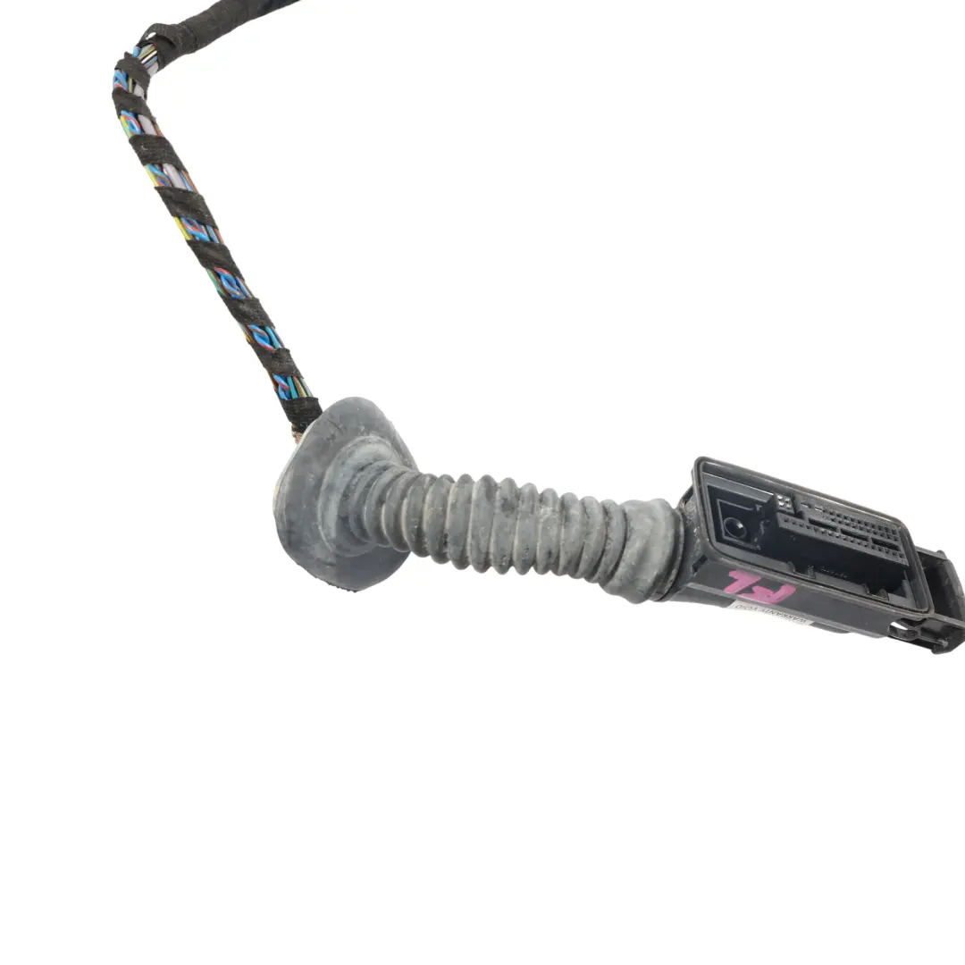 BMW F30 Cablaggio Porta Anteriore Lato Passeggero - SKU 9259999 - Numero di parte 9259761