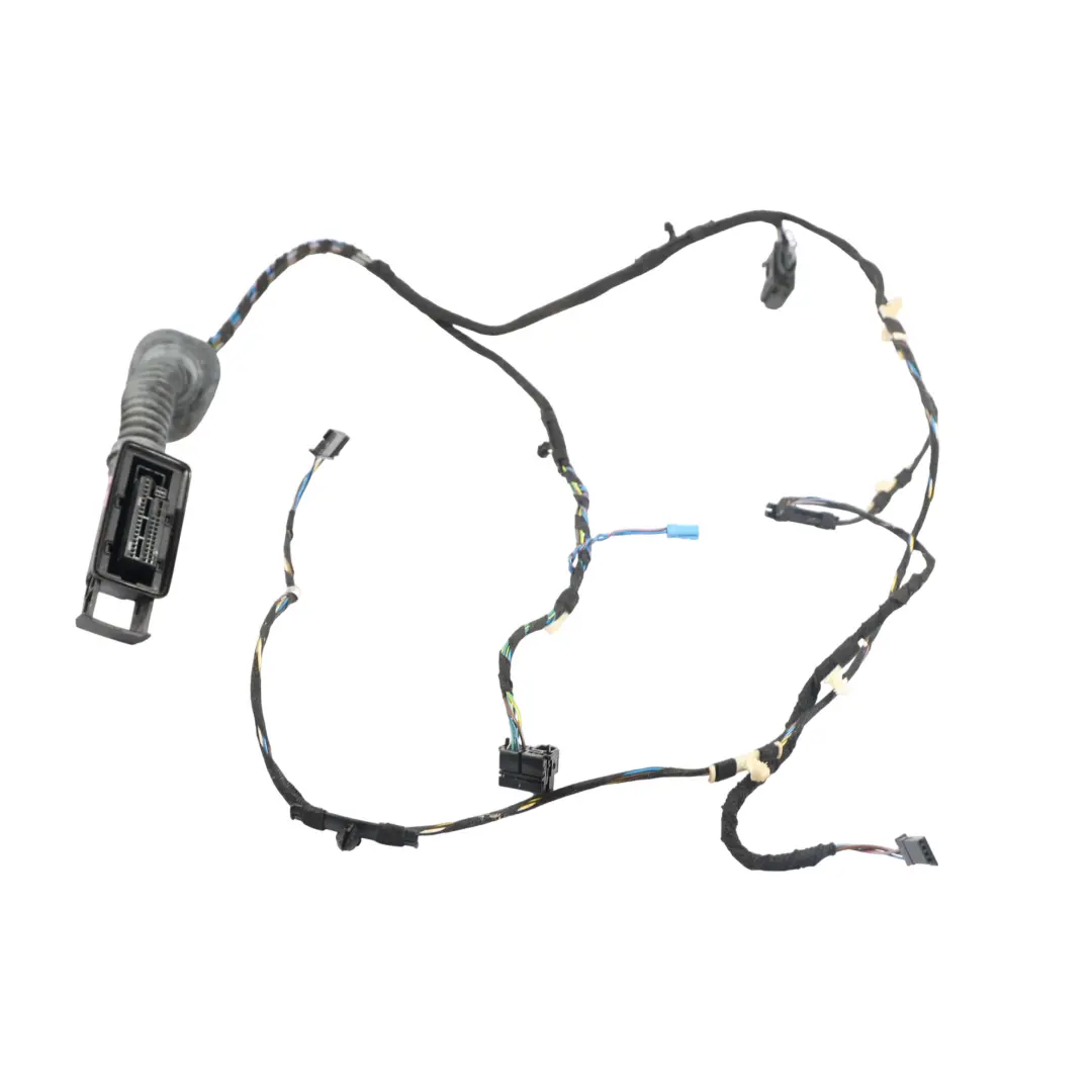 Cablaggio Porta Anteriore Lato Passeggero per BMW F30 con numero di parte 9259761 BMW F30 Cablaggio Porta Anteriore Lato Passeggero - SKU 9259999 - Numero di parte 9259761