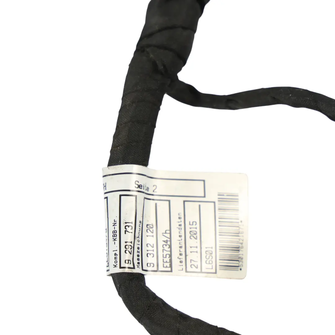 Cable Asiento Delantero Derecho Arnés Eléctrico para BMW F10 con número de pieza 9291731 BMW F10 Cable Asiento Delantero Derecho Arnés Eléctrico - SKU 9291731 - Número de pieza 9291731