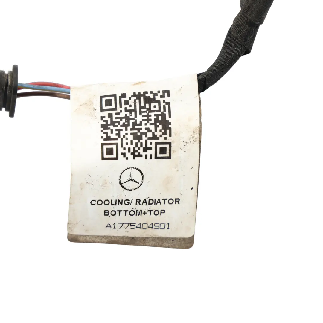 Mercedes W177 Faisceau Câblage Électrique Volet Radiateur - SKU A1775404901 - Numéro de pièce A1775404901