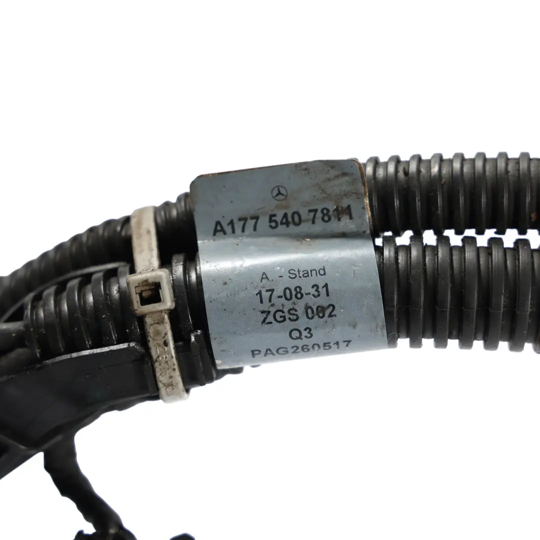 OM608 HV Batterie Generator Starter Kabelbaum für Mercedes W177 mit Teilenummer A1775407811 Mercedes W177 OM608 HV Batterie Generator Starter Kabelbaum - SKU A1775407811 - Teilenummer A1775407811