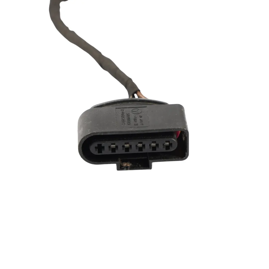 Rückleuchte Stecker Verkabelung Buchse Rechts für Mercedes W447 mit Teilenummer A4478201264 Mercedes W447 Rückleuchte Stecker Verkabelung Buchse Rechts - SKU A4478201264-2 - Teilenummer A4478201264