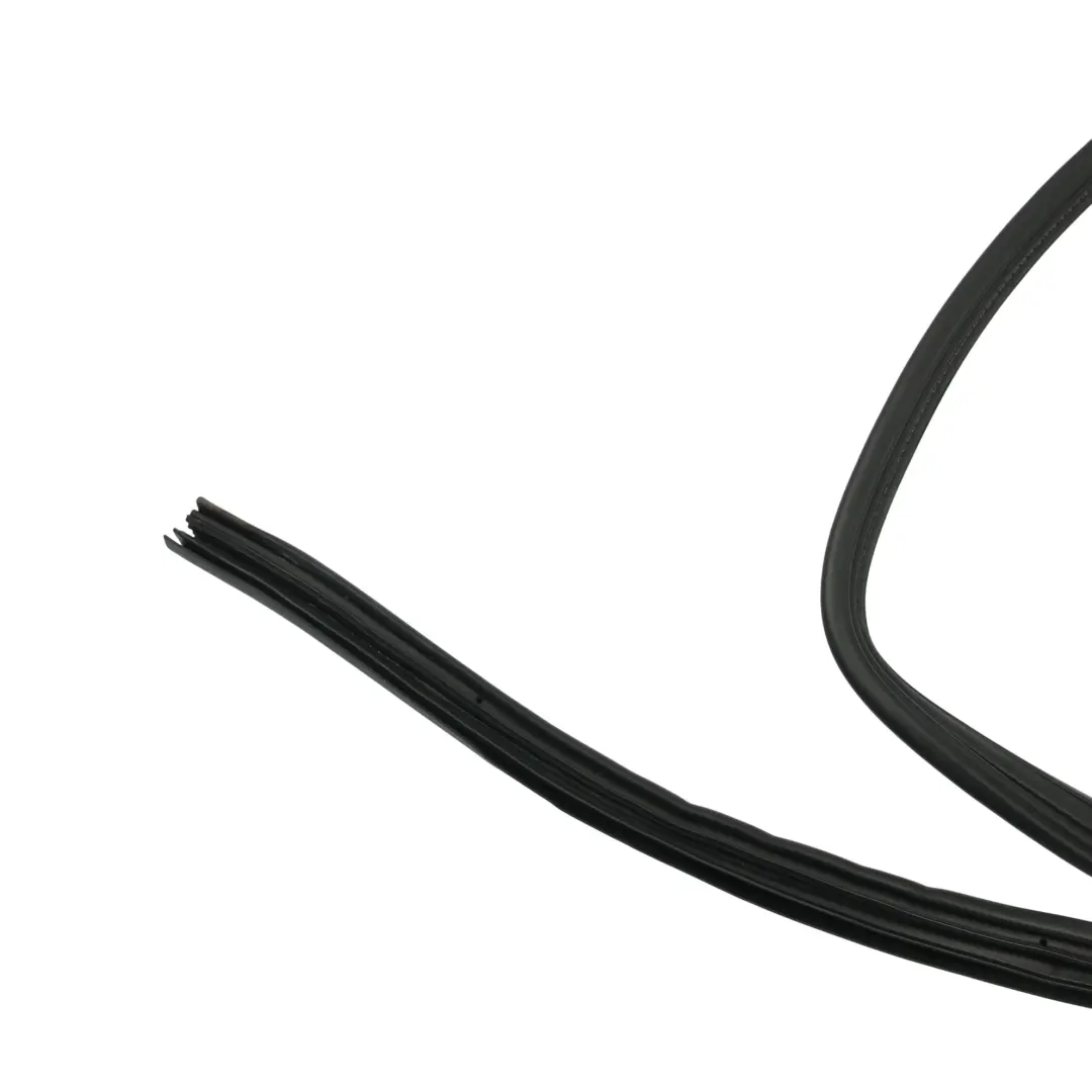 Land Rover Freelander L314 Joint Porte Secondaire Arrière Gauche Droite - SKU ASR2561 - Numéro de pièce ASR2561