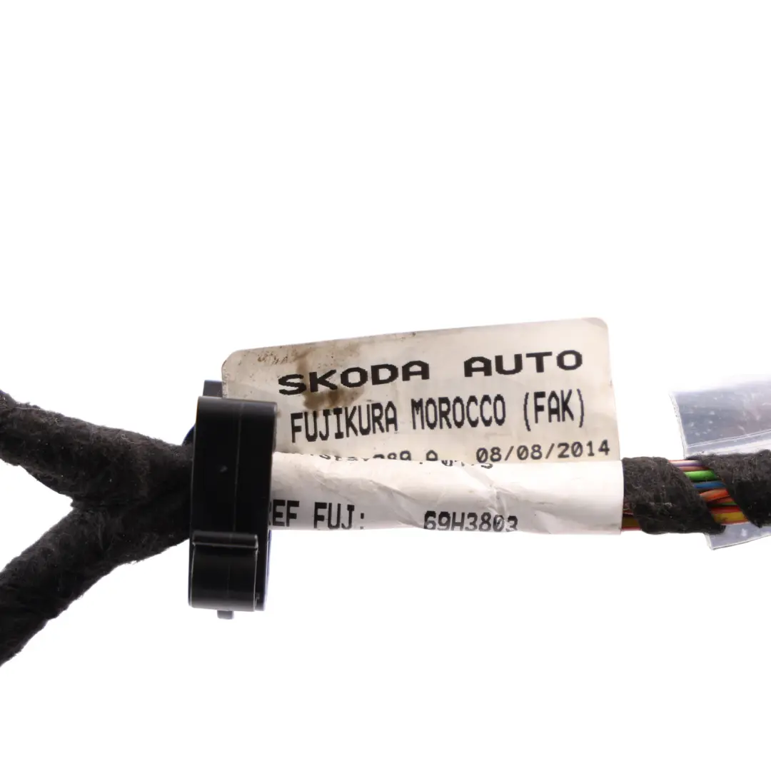 Skoda Octavia 5E Mk3 Front Door Wiring Loom Harness Passenger Side - SKU RHD-5E2971121M - Part number 5E2971121M