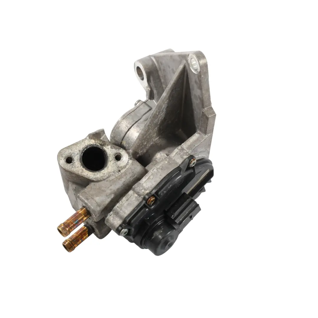 1F Zawór EGR 2.0 FSI BVT do Volkswagen Eos o numerze 06F131503B Volkswagen Eos 1F Zawór EGR 2.0 FSI BVT - SKU 06F131503B - Numer Części 06F131503B