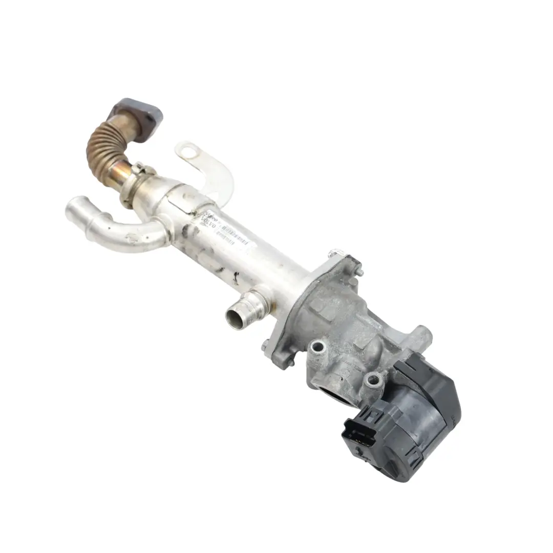 Ford Focus Mk3 Kuga Mk1 Chłodnica EGR 2.0 TDCi Diesel 3M5Q-9F464-AA - SKU 1233381 - Numer Części 1233381