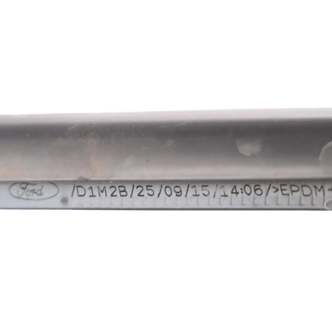 MK3 Guarnizione Finestrino Porta Posteriore Sinistro per Ford Focus con numero di parte 1864246 Ford Focus MK3 Guarnizione Finestrino Porta Posteriore Sinistro - SKU 1864246 - Numero di parte 1864246