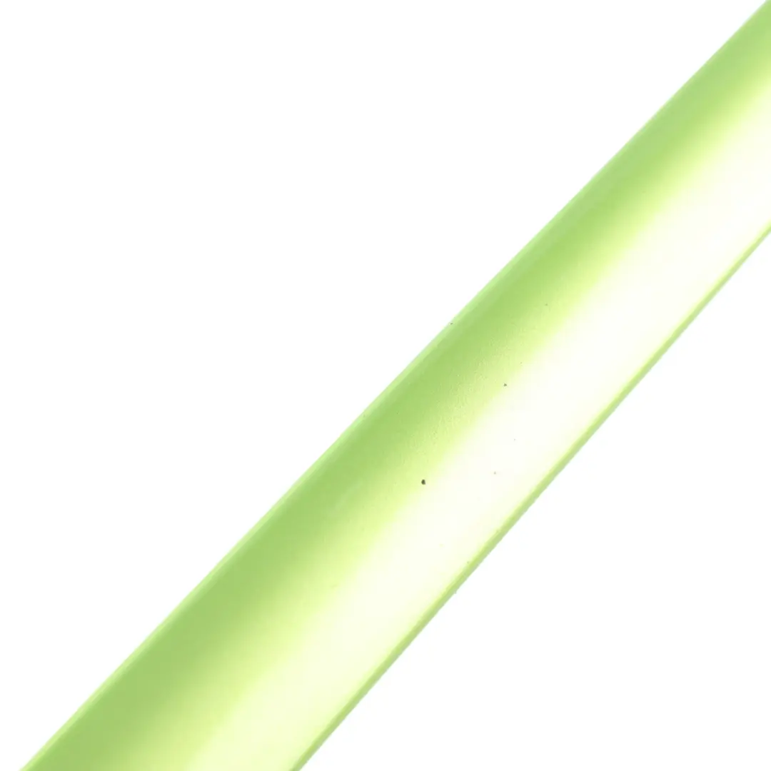 2K Door Protective Strip Trim Front Right O/S Green R6T to VW Caddy with Part number 1T0853516E VW Caddy 2K Door Protective Strip Trim Front Right O/S Green R6T - SKU 1T0853516E-VGR - Part number 1T0853516E