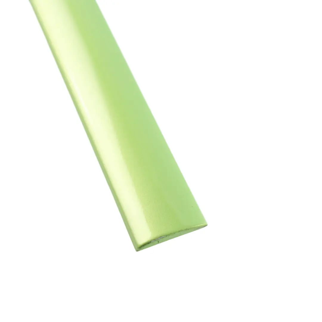 VW Caddy 2K Door Protective Strip Trim Front Right O/S Green R6T - SKU 1T0853516E-VGR - Part number 1T0853516E