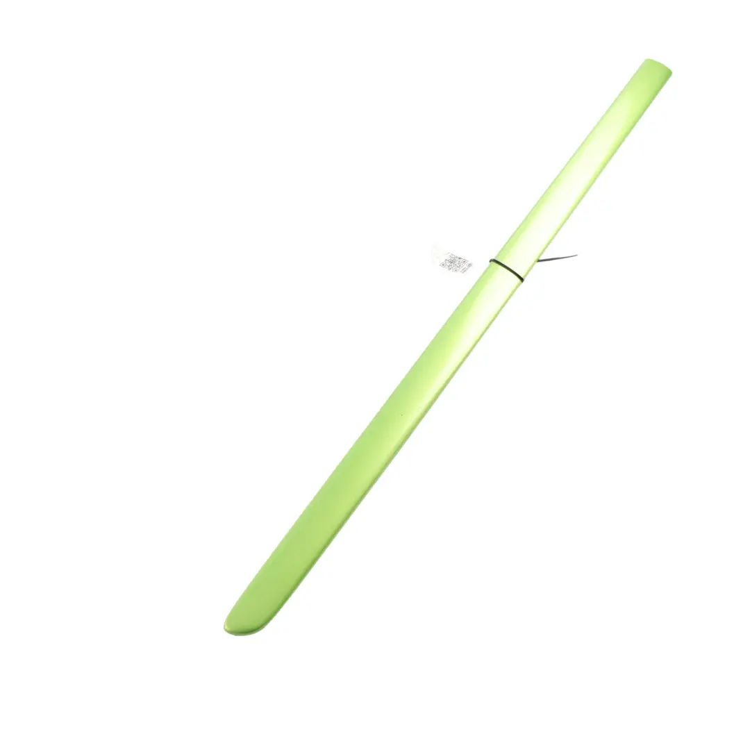 2K Door Protective Strip Trim Front Right O/S Green R6T to VW Caddy with Part number 1T0853516E VW Caddy 2K Door Protective Strip Trim Front Right O/S Green R6T - SKU 1T0853516E-VGR - Part number 1T0853516E