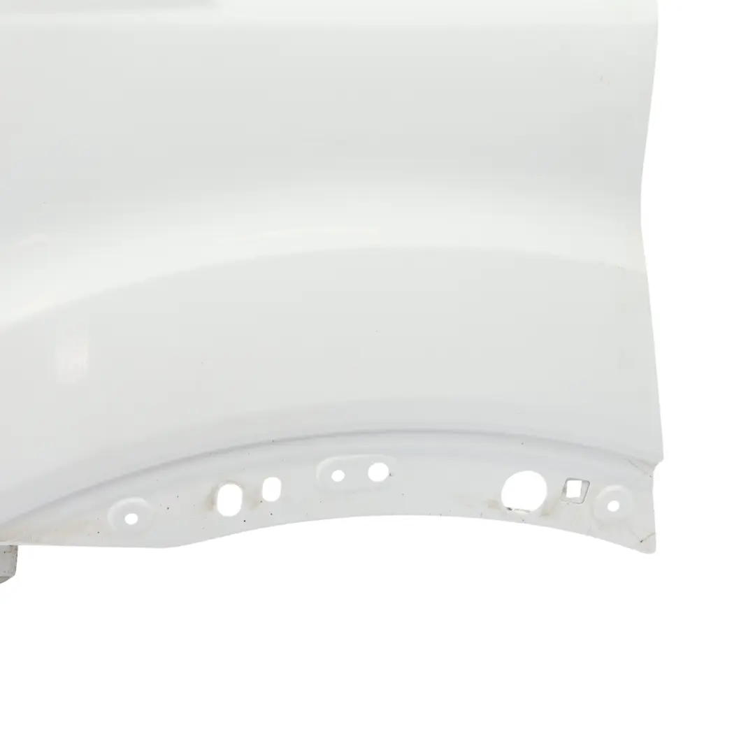 Ford Transit TTG Side Panel Front Left N/S Wing Fender Frozen White - Z2 - SKU 2203290-FW1 - Part number 2203290